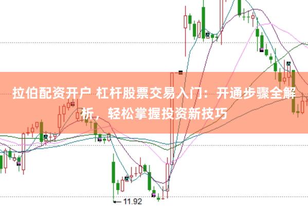 拉伯配资开户 杠杆股票交易入门：开通步骤全解析，轻松掌握投资新技巧