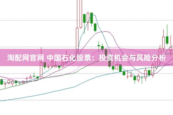 淘配网官网 中国石化股票：投资机会与风险分析