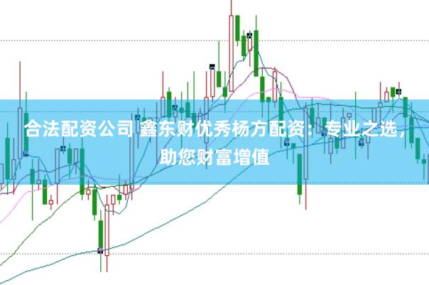 合法配资公司 鑫东财优秀杨方配资：专业之选，助您财富增值