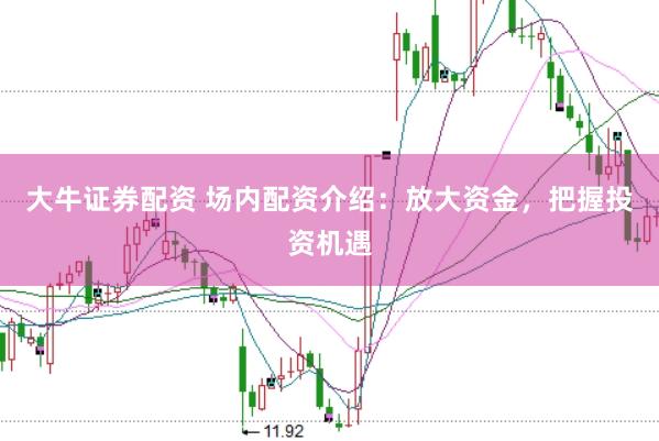 大牛证券配资 场内配资介绍：放大资金，把握投资机遇