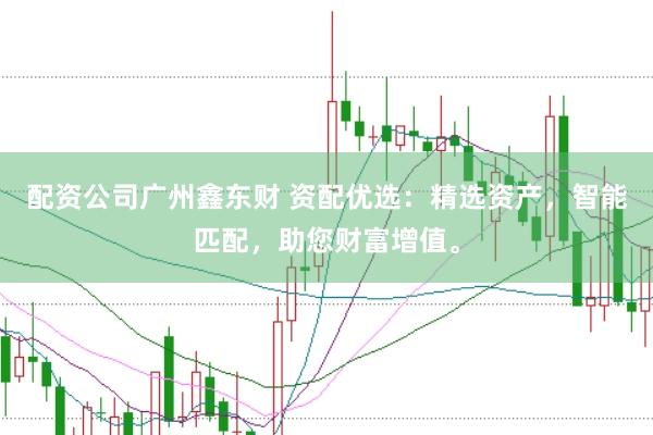 配资公司广州鑫东财 资配优选：精选资产，智能匹配，助您财富增值。