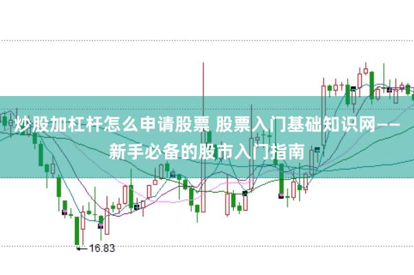 炒股加杠杆怎么申请股票 股票入门基础知识网——新手必备的股市入门指南