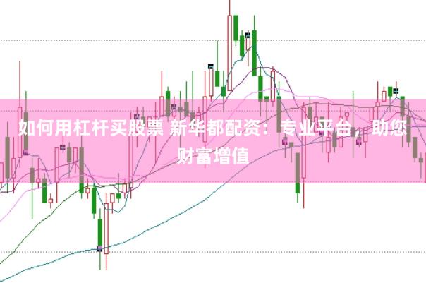 如何用杠杆买股票 新华都配资：专业平台，助您财富增值
