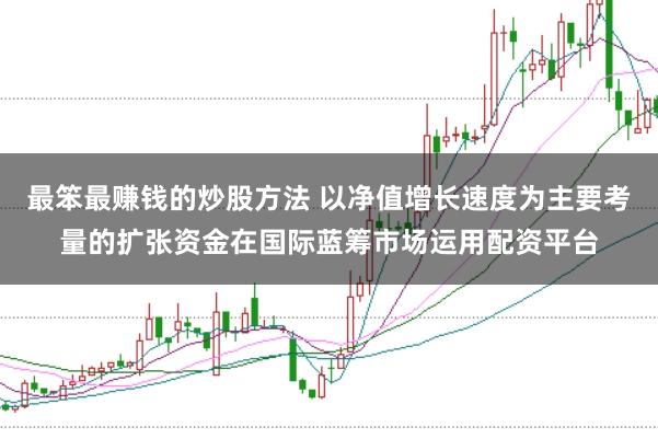 最笨最赚钱的炒股方法 以净值增长速度为主要考量的扩张资金在国际蓝筹市场运用配资平台