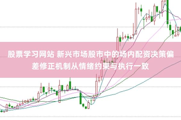 股票学习网站 新兴市场股市中的场内配资决策偏差修正机制从情绪约束与执行一致