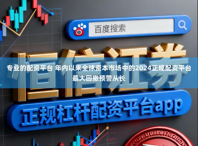 专业的配资平台 年内以来全球资本市场中的2024正规配资平台最大回撤预警从长